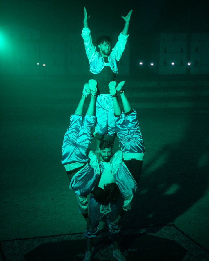 Acrobates